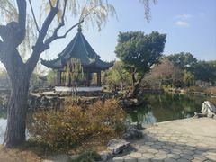 -无锡蠡湖国家湿地公园-蠡园