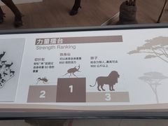 -陕西自然博物馆