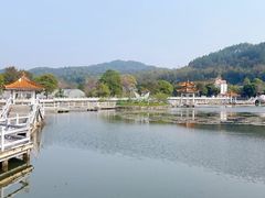 -红山村