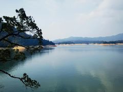 -广州市流溪河国家森林公园