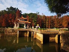 -深圳仙湖植物园