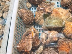 -码头鲜精致威海菜(欧乐坊店)