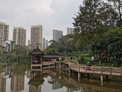 -龙头寺公园