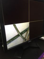 -章光101防脱养发荟