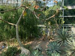 -南山植物园