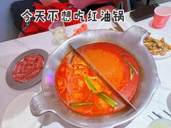 -九鼎轩脆毛肚火锅(五角场店)