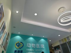 -美迦爱动物医院·夜诊(朝阳路诊疗中心)