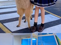 -Blue Concept Cafe&Farm·關於藍