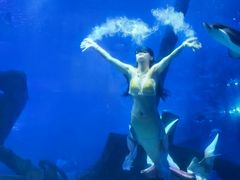 -江和美海洋公园