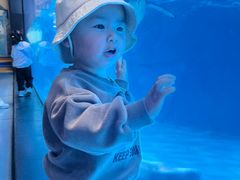 -海合安成都极地海洋公园