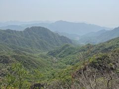 -大岭沟猕猴桃谷风景区