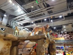 -鲁比猴非洲探索部落(喜盈门店)