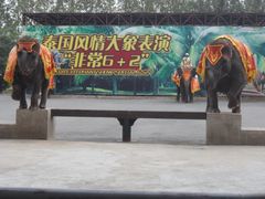 -大连森林动物园