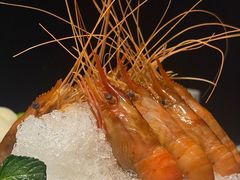 老酒糟大虾-南麓·浙里(外滩店)