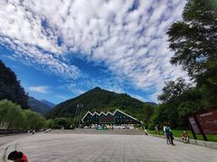 -牛背梁国家森林公园