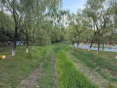 -莫子山公园