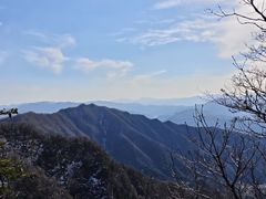 -王顺山国家森林公园