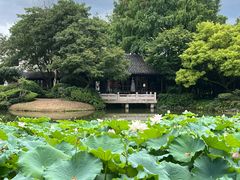 -杭州西子湖四季酒店-WL BISTRO西湖餐厅(灵隐路店)