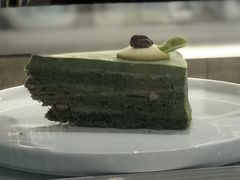 抹茶蛋糕-喵喵咪呀布偶猫咖(春熙路店)