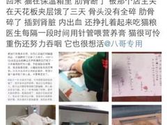 盛京一禾-盛京一禾