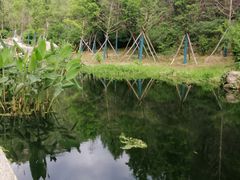 -白水寺森林公园