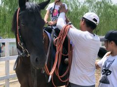 我在努力中-月河湾马术俱乐部(朝阳店)