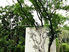 -莲花山公园