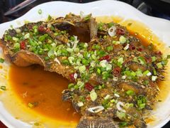 -草墩罗非鱼庄•野生菌•腊排骨(七星街上段店)