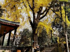 -平安桥天主教堂