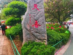 -洛阳市牡丹公园