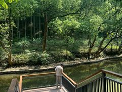 -东明山森林公园