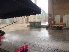 -三亚新鸿港水果一级批发市场