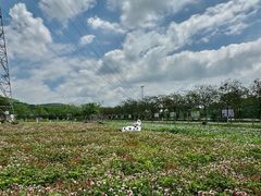-盈香心动乐园