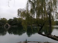 -百脉泉景区