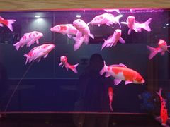 -陕西省人民医院(主院区)