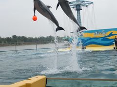 -秦皇岛乐岛海洋王国