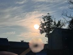 -三里河公园