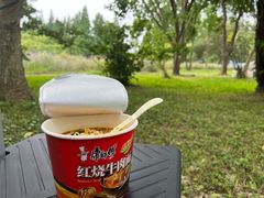 -上海滨江森林公园