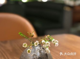 惊艳!好吃又好看的云南菜。大众点评上不属高分或网红的