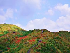 -大围山国家森林公园