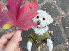 -丹东天桥沟景区