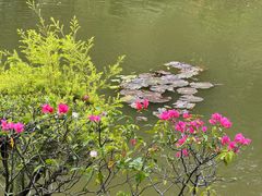 -东莞植物园