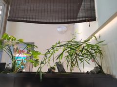 -俏立方·15年新楚菜