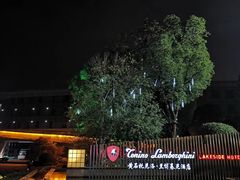-闻泰花园酒店