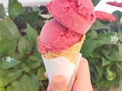 -布歌东京(金融街购物中心店)