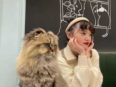 -安格丽娜·狗咖·猫咖羊驼咖(春熙路百盛商场店)