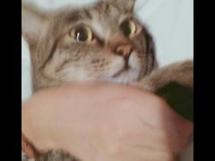 -彩虹桥宠物火化殡葬善终服务(金乐大厦店)