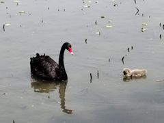 -洛阳市隋唐城遗址植物园