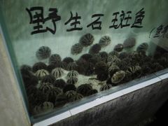 -海盗餐厅