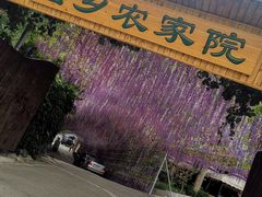 -山乡农家院(海淀区西北旺店)